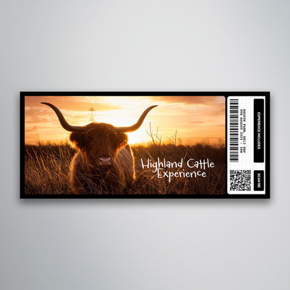 Highland Cattle Experience - Souvenir Ticket