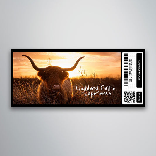 Highland Cattle Experience - Souvenir Ticket